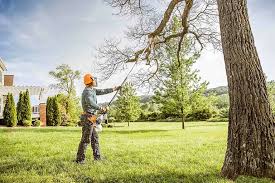Seasonal Cleanup (Spring/Fall) in San Jose, CA
